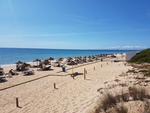 A beach with sun loungers and umbrellas, a wooden walkway, and a clear view of the ocean.