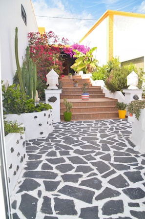 A courtyard with a stone floor, potted plants, and a staircase leading to a door. - GA7COLORES (San Bartolome)