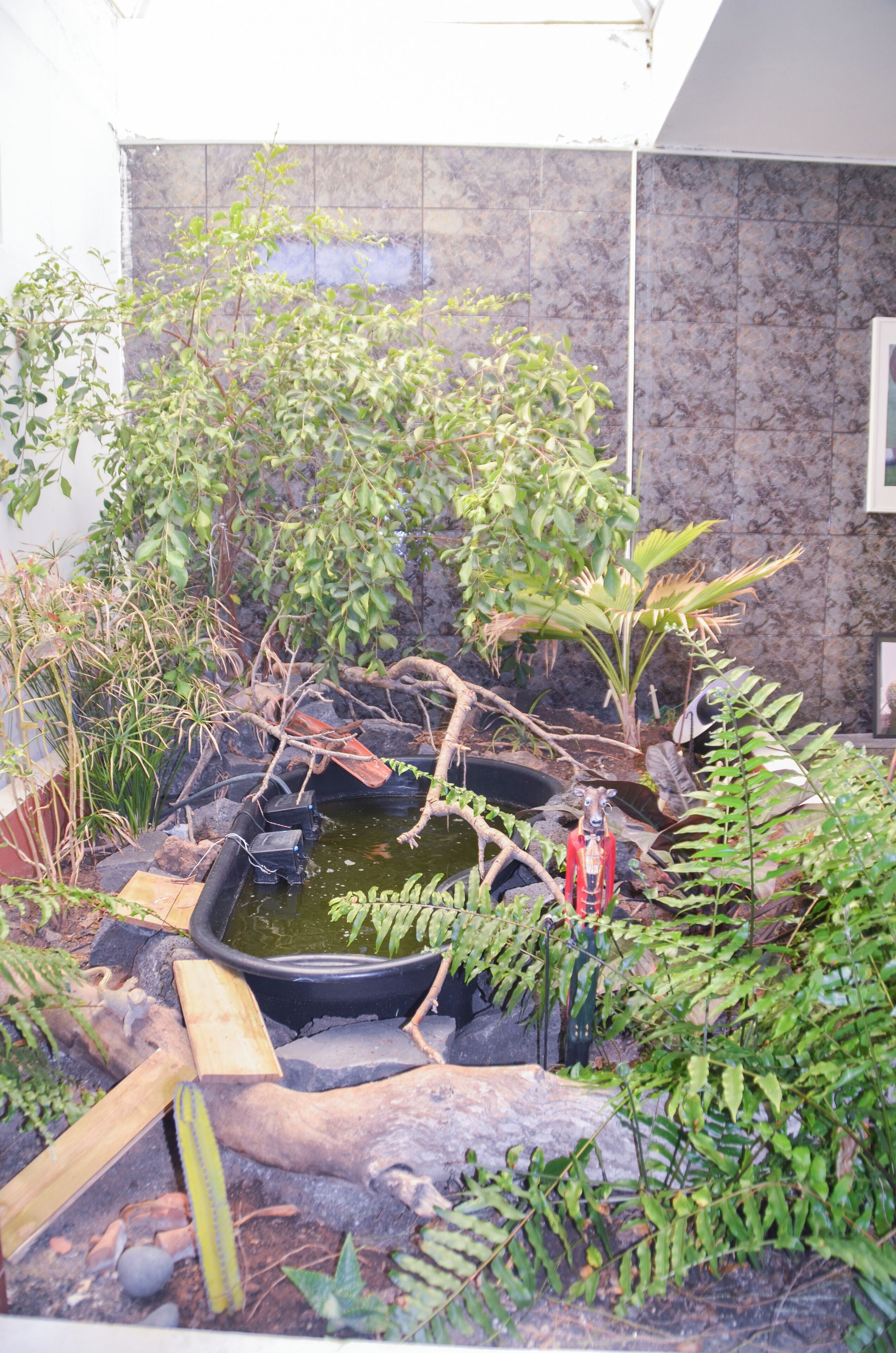 Un pequeño jardín con un estanque, rodeado de diversas plantas y árboles.