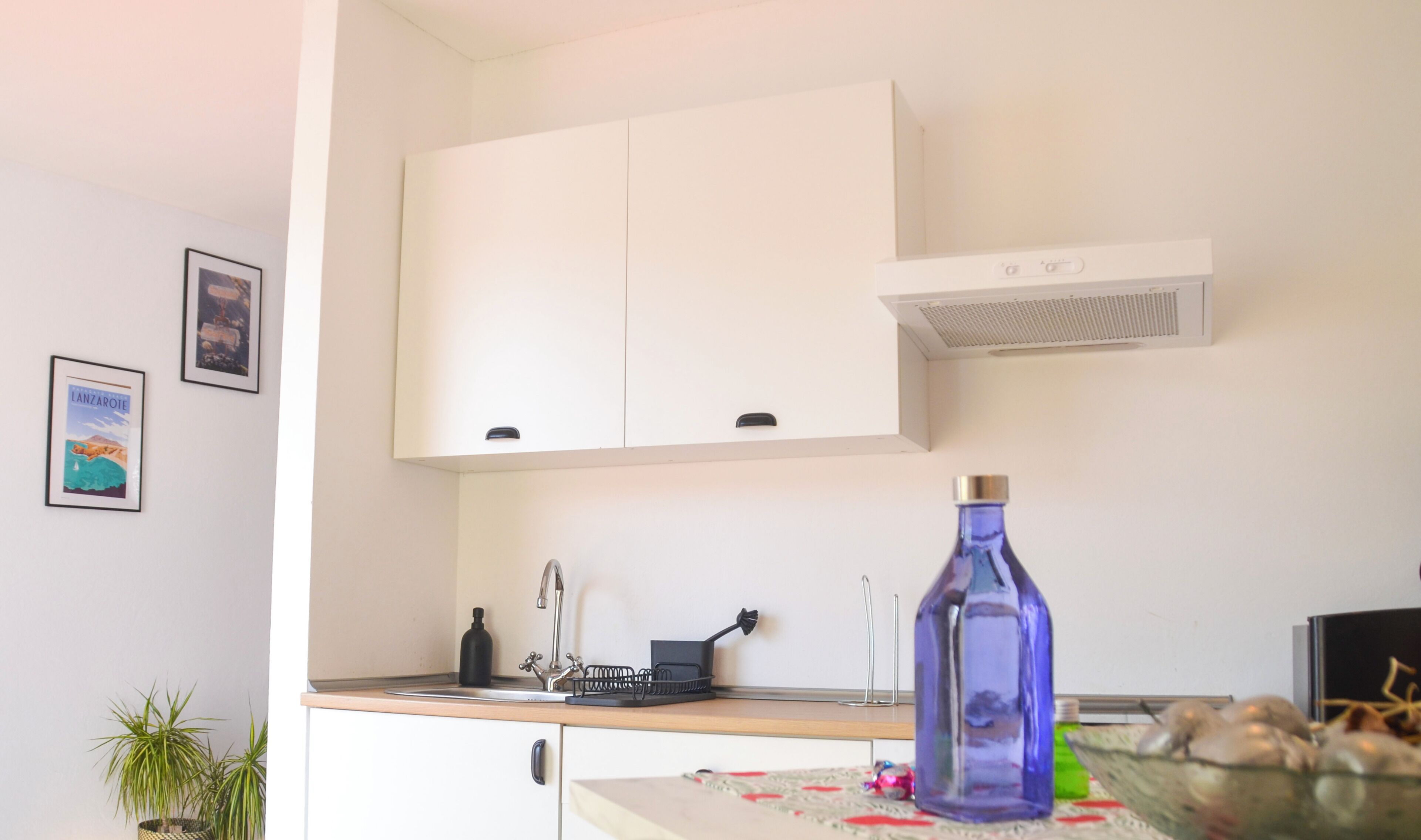 A kitchen with white cabinets, a stainless steel sink, a blue bottle, and a small plant.