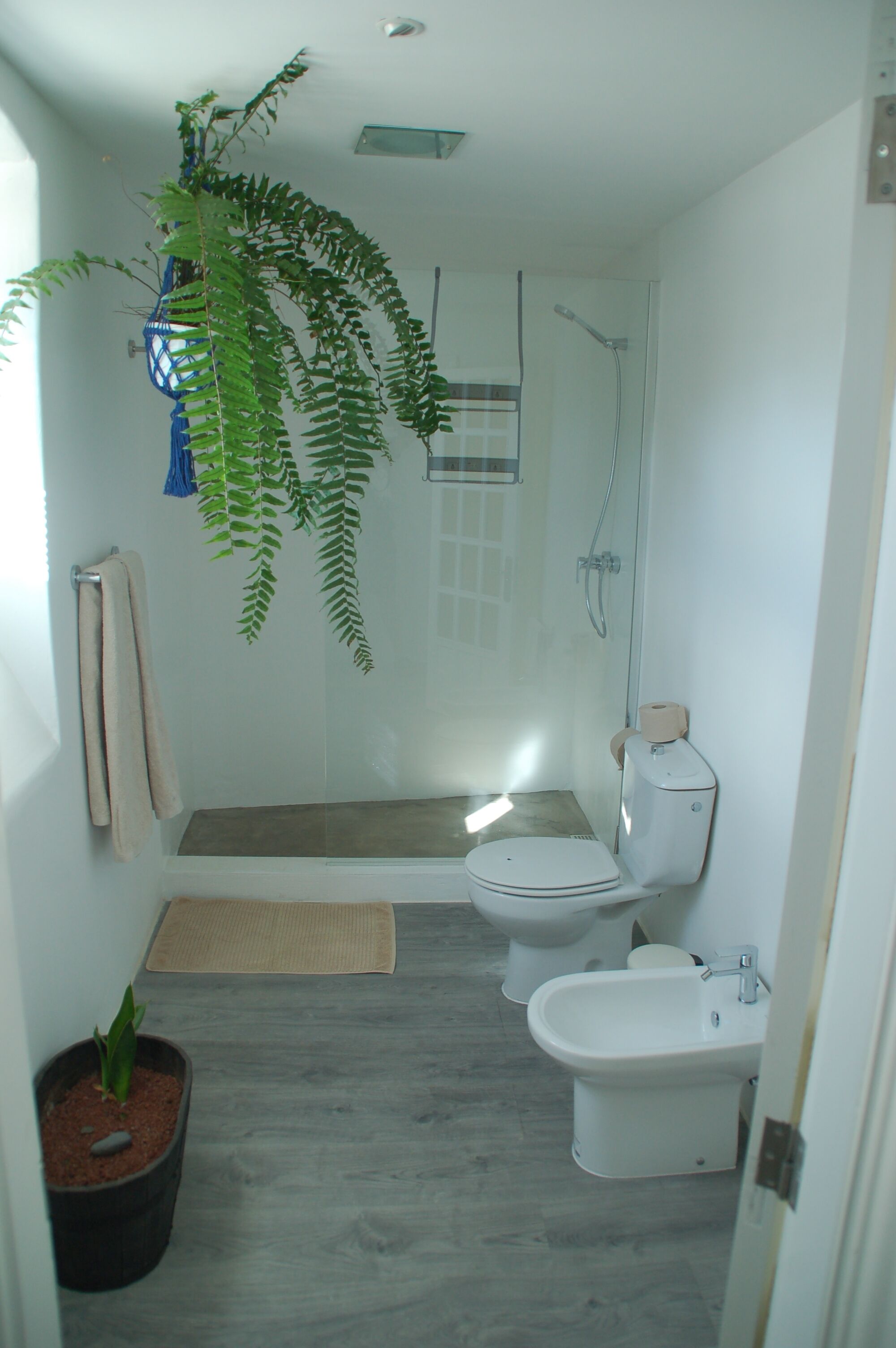 A compact bathroom with a shower, toilet, bidet, and a potted plant.