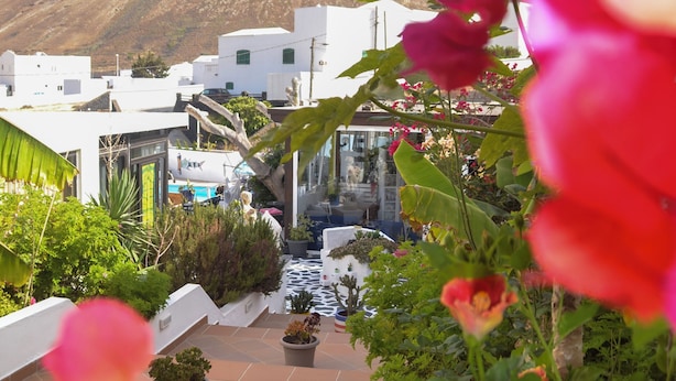 A rooftop garden with potted plants and flowers, overlooking a hillside with white buildings. - GA7COLORES (San Bartolome)