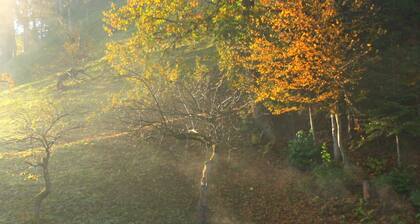 Apartment for 6 people