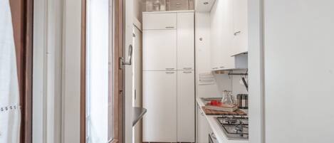 Fridge, microwave, stovetop, electric kettle