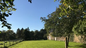 A grassy field with a stone wall and a tree.