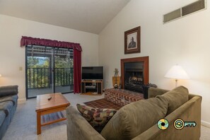 TV, fireplace, DVD player