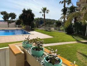 A swimming pool with a tiled deck, surrounded by a well-maintained lawn and palm trees.