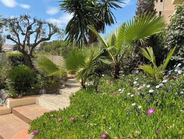 A garden with palm trees, a pathway, and various plants and flowers.