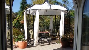 Ein überdachter Patio-Bereich mit Tisch und Stühlen, umgeben von Blumentöpfen und einer Pergola.