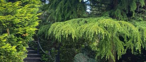 Área da propriedade