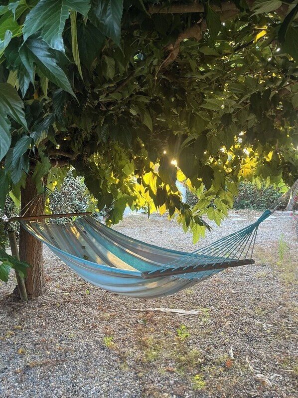 A hammock under a tree in a garden setting.
