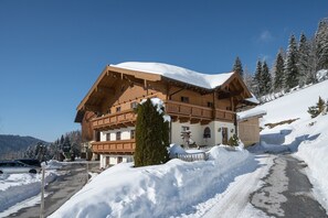 Exterior - Farmhouse in Wagrain near Ski Slopes (Wagrain)