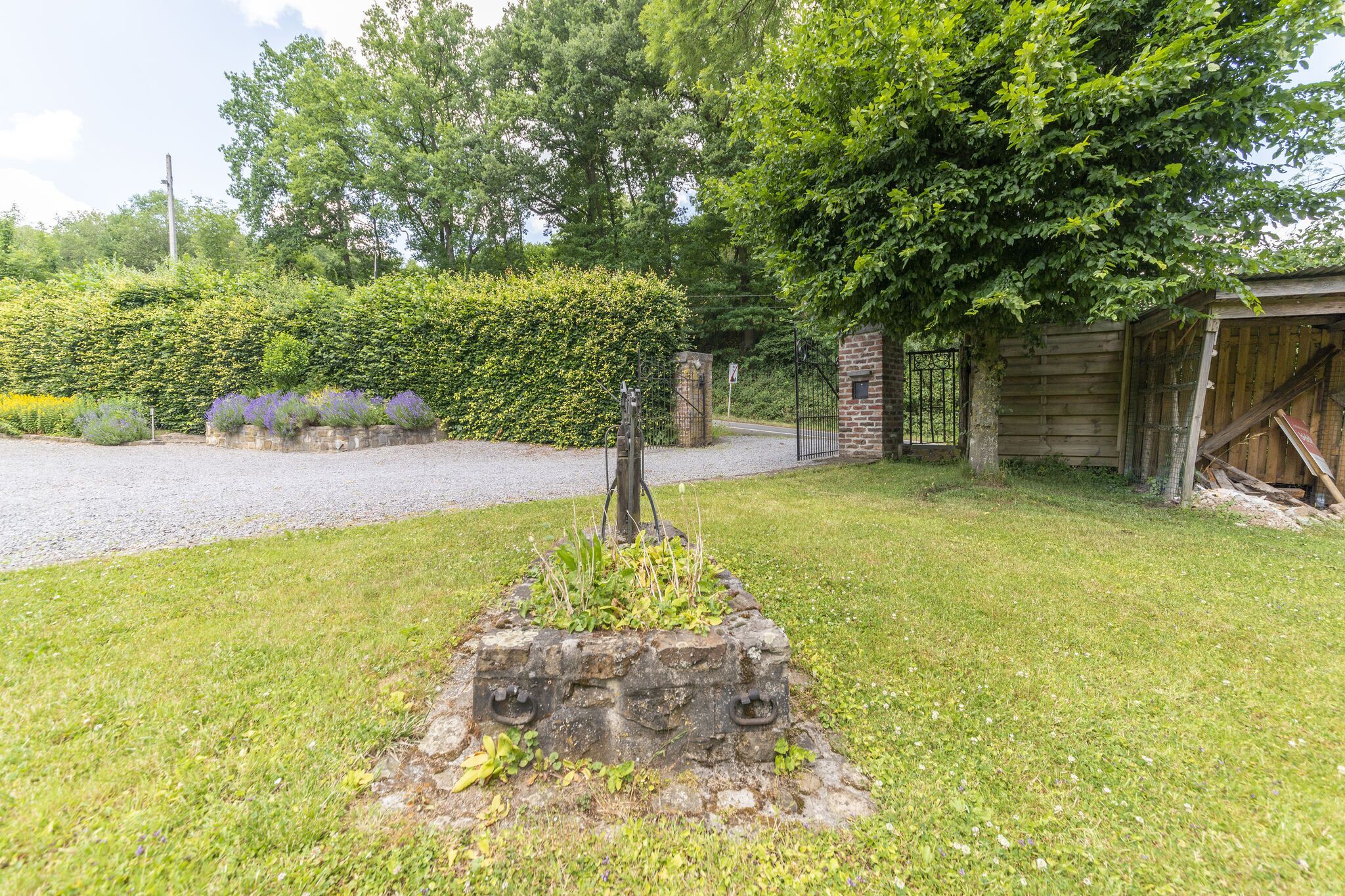 Garden [summer]