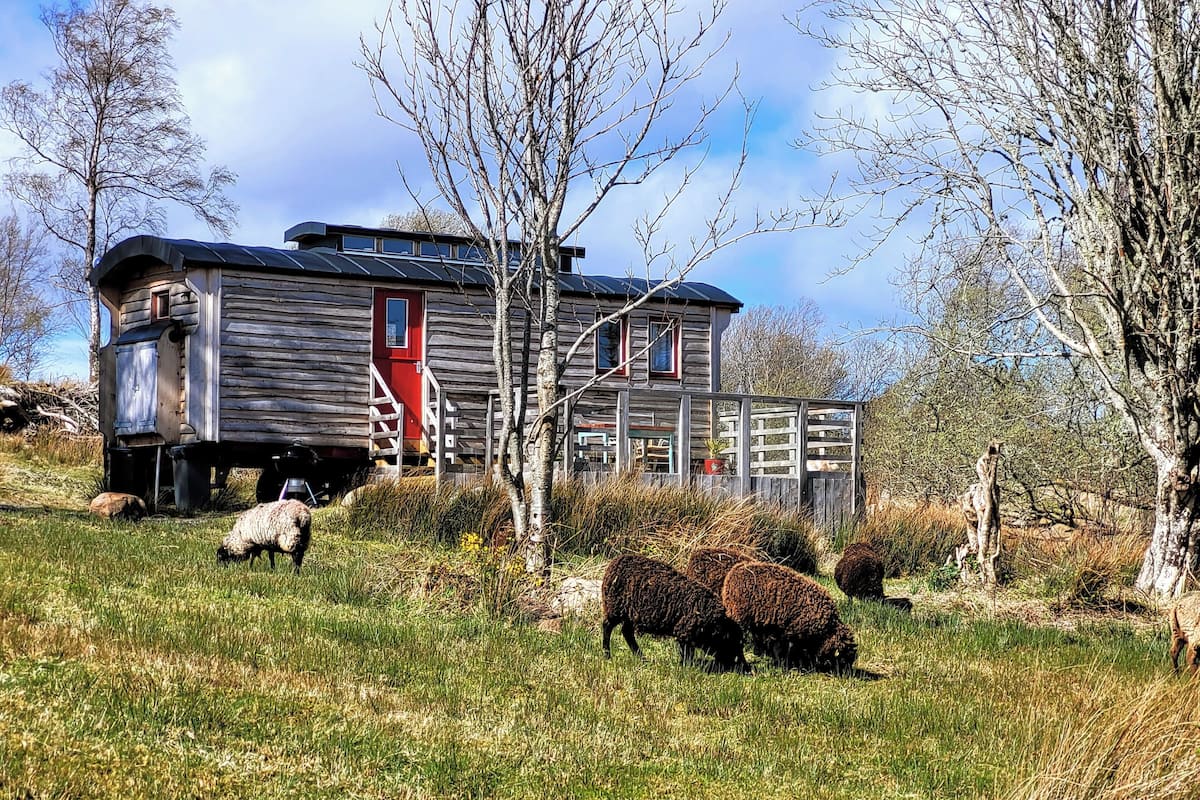 A rustic cabin with a red door, surrounded by a grassy field and trees.