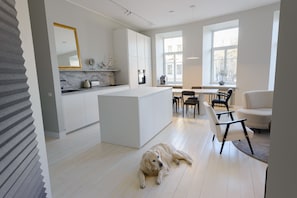 Interior - Romain Gary apartment/old town/parking (Vilnius)