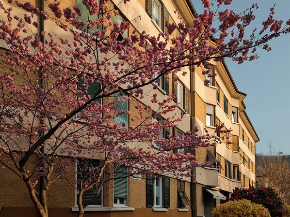 Un edificio de varios pisos con fachada de ladrillo, contraventanas verdes y un árbol con flores rosadas al frente.