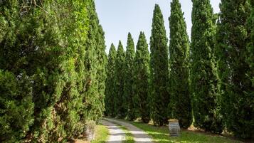 Overnatningsstedets område