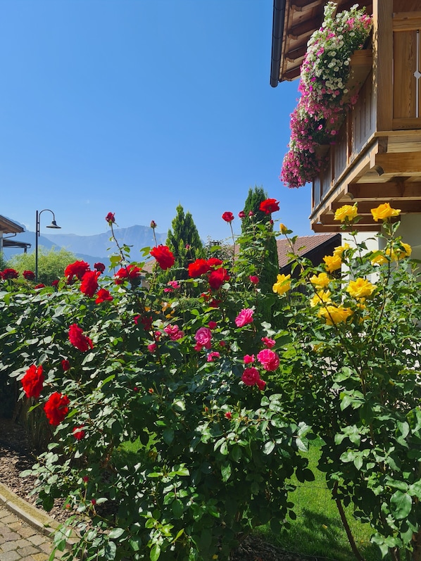 A garden with various flowers, a wooden building with a balcony, and a clear blue sky.