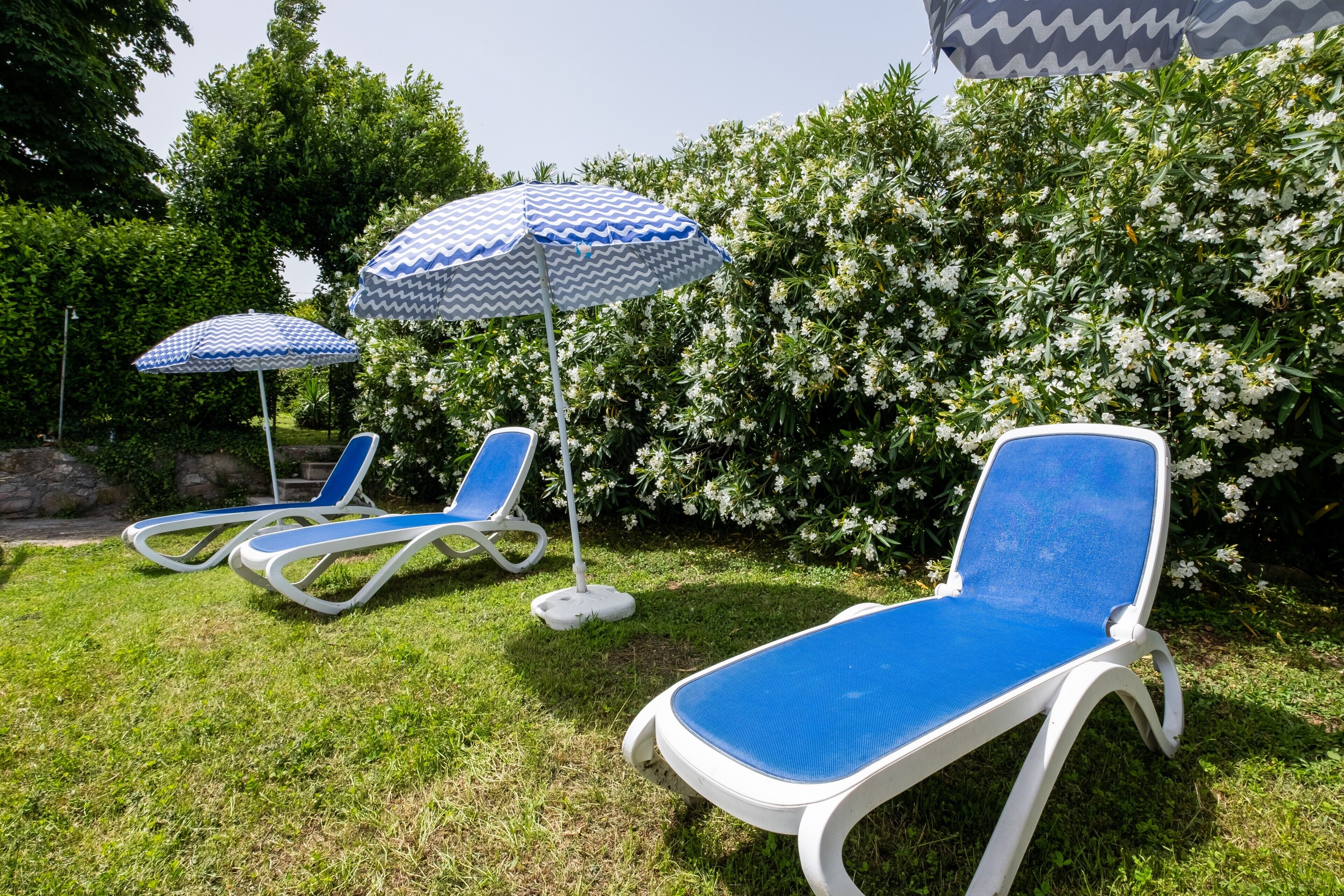 A garden area with two blue and white lounge chairs and a matching umbrella.