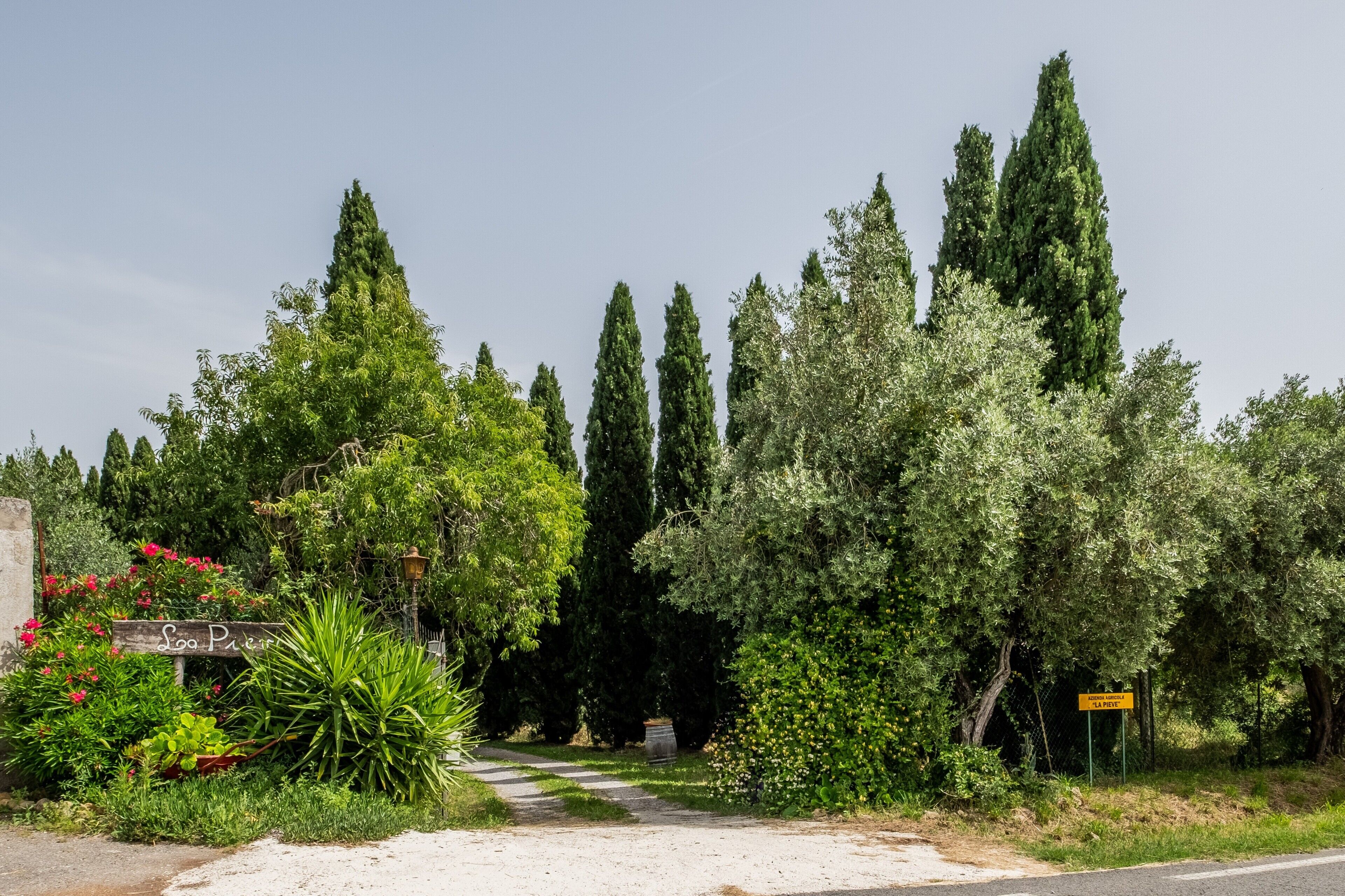 Parco della struttura