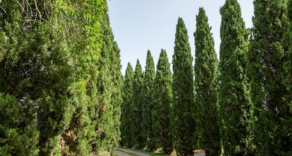 Apartment "Agriturismo La Pieve - Mimose" with Shared Pool, Shared Garden & Wi-Fi