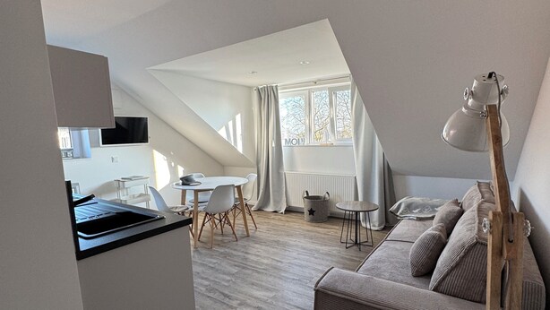 A modern loft apartment with a kitchen, dining area, and living space.