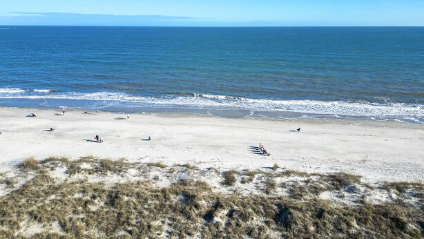 Ein Strand mit Menschen und Hunden, blauem Himmel und ruhiger See.
