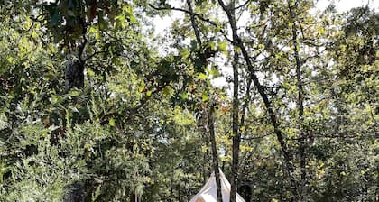 Luxury Glamping tent in Ouachita Mountains