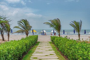 Ein Weg führt zu Strandstühlen und Sonnenschirmen, Palmen und dem Meer.