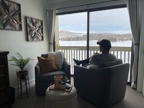 Smart TV, fireplace, books