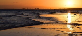 Doppelhaushälfte Strandhaus II in Trassenheide