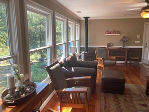 Televisión, chimenea, reproductor de DVD y libros 