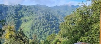 Colibrí - Cabañas Puerto del Zopilote