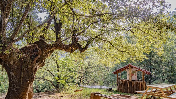 A rustic wooden structure with a bench and picnic table, surrounded by trees and a dirt path.