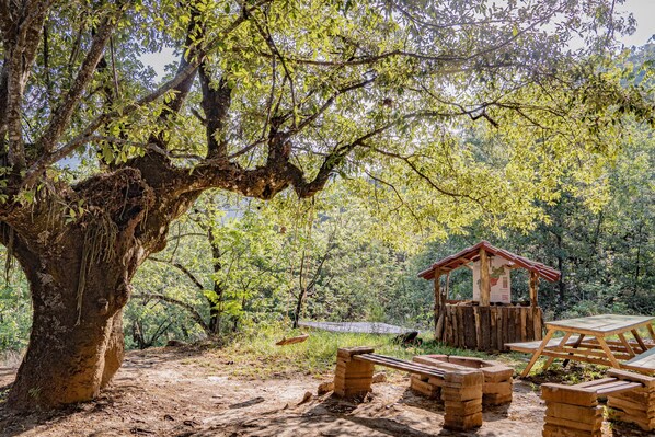 A rustic wooden structure with a bench and picnic table, surrounded by trees and a dirt path.