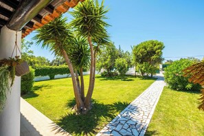 Un jardin bien entretenu, avec un chemin de pierres, des palmiers et des haies soigneusement taillées.