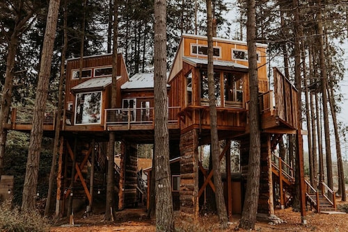 Nest · Treehouse on the Water -Eagles Nest-20 ft high
