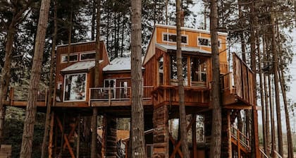 Nest · Treehouse on the Water -Eagles Nest-20 ft high