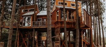 Nest · Treehouse on the Water -Eagles Nest-20 ft high