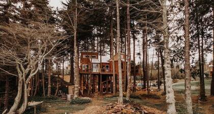 Nest · Treehouse on the Water -Eagles Nest-20 ft high