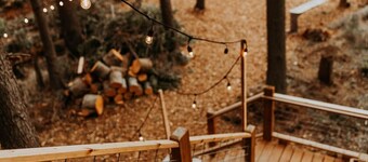 Nest · Treehouse on the Water -Eagles Nest-20 ft high