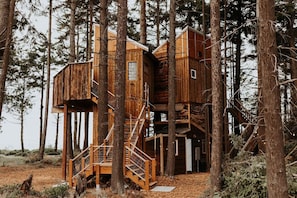 Ein hölzernes Baumhaus mit mehreren Ebenen, das um einen zentralen Baum herum gebaut wurde und eine Treppe sowie eine kleine Tür zeigt.