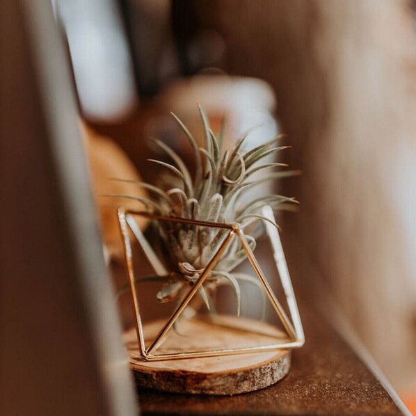 A small potted plant with a geometric wire frame on a wooden coaster.