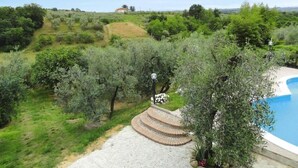 A pool area with a stone pathway leading to a house in a lush, green landscape. - Villa in Vinci with Pool & Panoramic Views (Lamporecchio)