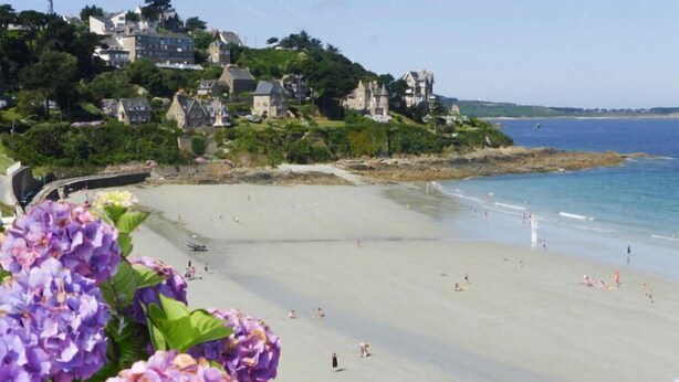 Uma praia com pessoas, uma cidade costeira ao fundo e flores roxas em primeiro plano.