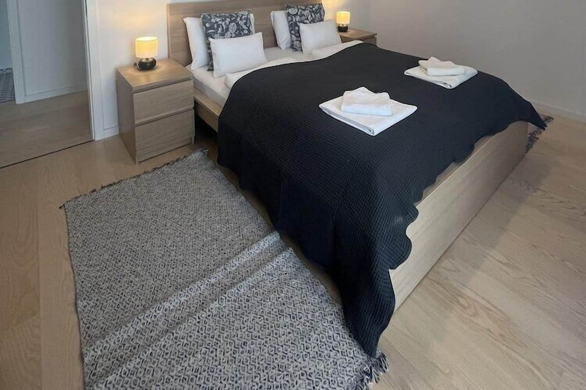 A bedroom with a bed, bedside tables, a rug, and a ceiling light fixture.