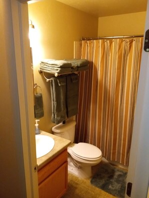Hair dryer, towels, toilet paper