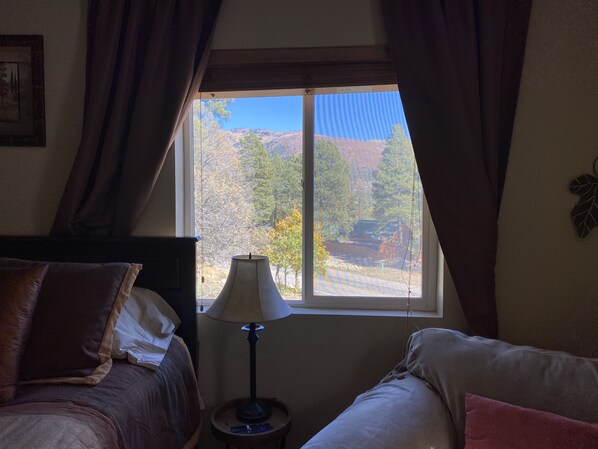 2 bedrooms, iron/ironing board, free WiFi, bed sheets - Half way there,15 minutes to skiing at Purgatory or dining & shopping in Durango (Durango)