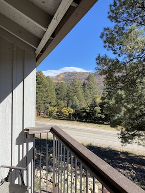 Property grounds - Half way there,15 minutes to skiing at Purgatory or dining & shopping in Durango (Durango)