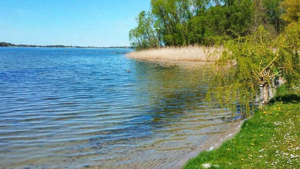 A calm lake with clear water, surrounded by grassy areas and trees. - Ferienwohnungen am Plauer See, Zislow (Zislow)